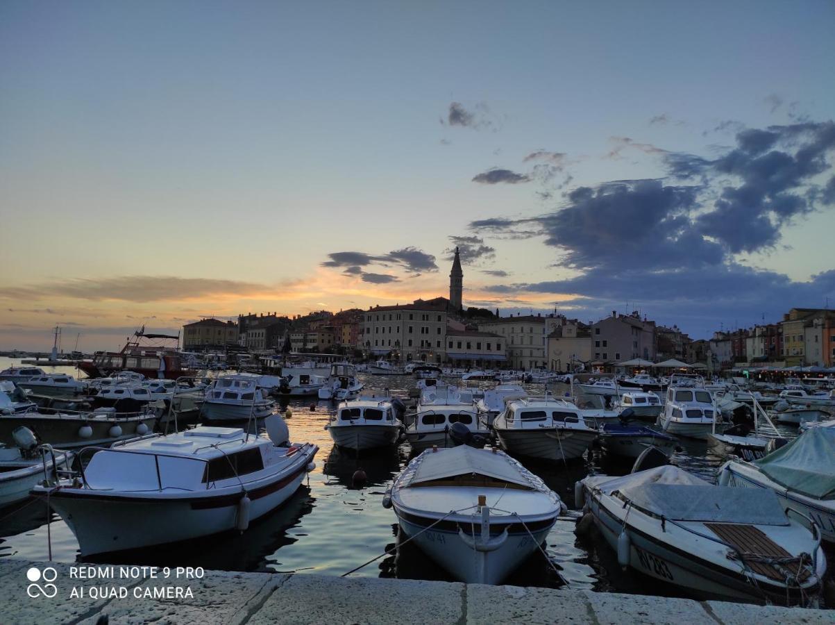 Mobile Home Lidano, Kamp Porton Biondi Rovinj Exteriér fotografie